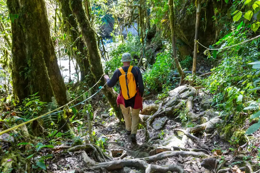 Hiking & Wildlife Watching — Santa Maria Volcano Lodge